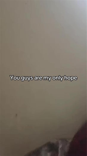 #fyp #viral #thisisnotbullying #traceybarbie