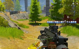 我就问这农场谁打得过