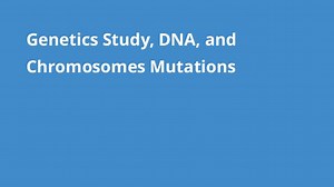 Genetics Study, DNA, and Chromosomes Mutations