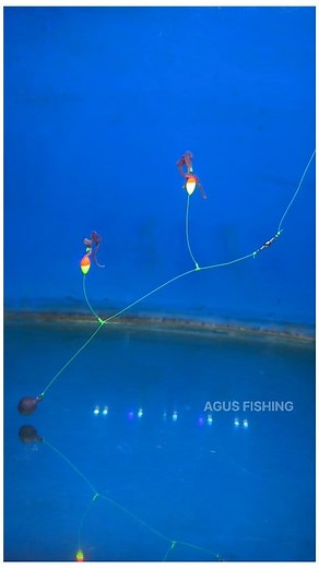 852K views · 3.3K reactions | Bottom Fishing Rig Using Floats  | Agus Subarna | Facebook