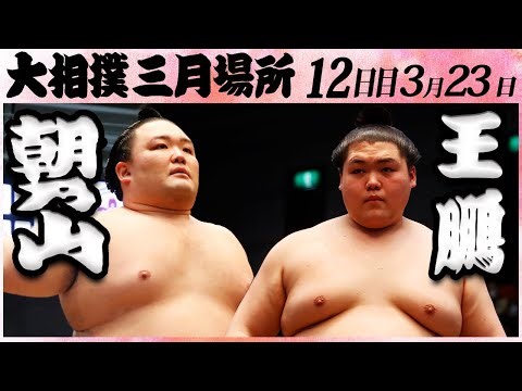 大相撲朝乃山 ー 王鵬＜令和５年三月場所・十二日目＞SUMO