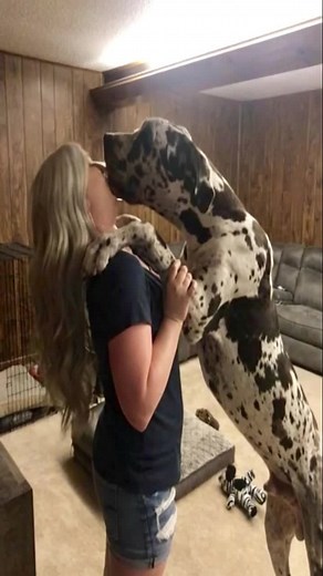 Kiss Love: Celebrating Best Couples and Dog Affection