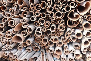 Origins of Saigon Cinnamon, the Flavor Behind Chai Teas | Stash Tea