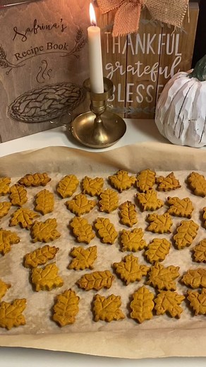 Pumpkin dog treats 🐾🍂🤎 theyre essentially dog safe cookies with no salt, sugar, dairy, or sweeteners. #homemadedogtreats #dogtreats #fallbaking #pumpkinrecipes #dogbiscuits #homemadedogbiscuits #fromscratch #pumpkintreats #fallrecipes