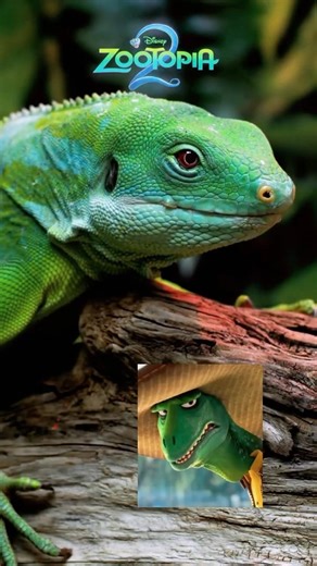 Zootopia 2 Characters vs Real Animals 🐾✨ | Cute Wildlife Edit #Zootopia2 #Shakira #shorts