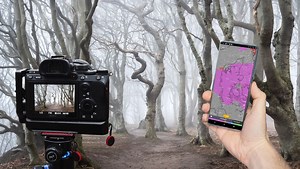 How to Predict the Most Important Factor for Incredible Forest Photography | Fstoppers