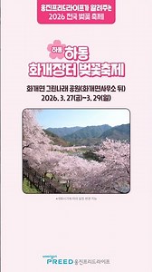2026 벚꽃 언제, 어디서 필까? 웅진프리드라이프가 알려드려요~