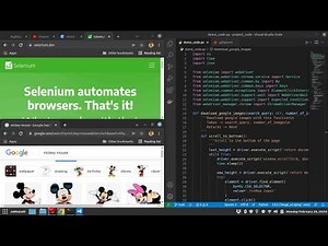 Selenium Tutorial Python | Automate Google Image Downloading | Download Webdriver | Step by step