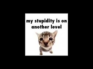 ∘˙♡Tiktok audios bc i hv 2 tests tmr + timestamps♡˙∘