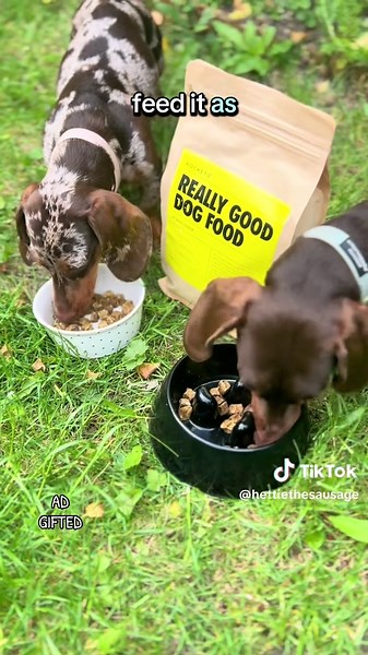 Hettie and Wilf on TikTok