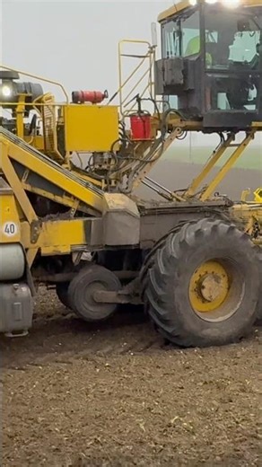 There's a strange clicking sound when the operator scoops up the top of the beets. What do you th...