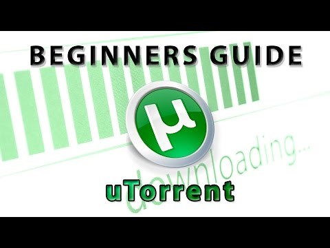 Beginner's Guide in Setting Up and Using uTorrent