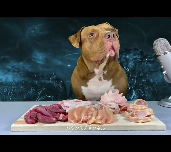 おすすめのアカウント