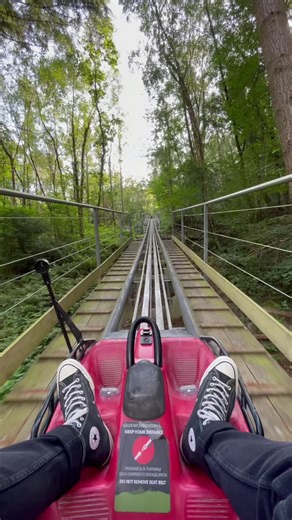 Experience the Thrill of Zip World Snowdonia's Forest Coaster
