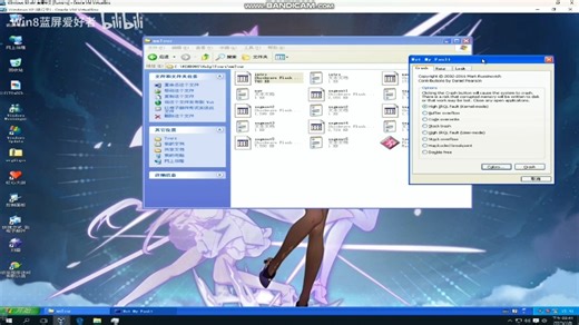 漫游Windows XP有蓝屏死机 2