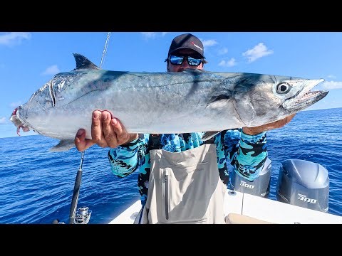Fishing Islamorada Humps with Live Grunts *Catch N Cook* Canned Fish