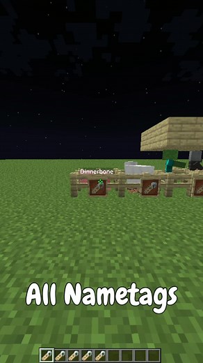 all nametags #minecraft #minecrafthacks #nametags #fy #fyp #viral