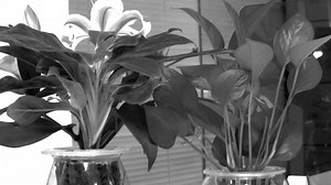 ELP 210fps Global Shutter USB Camera 720P Varifocal CS Lens 800P 120FPS OV9281 UVC Monochrome Zoom Webcam for High Speed Moving