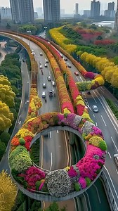 The flowers blooming on Hangzhou's overpasses are simply stunning! A beautiful blend of urban and natural beauty. 🌸🌆 #Hangzhou | In Zhejiang