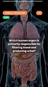 Only 1% Get All 5 Correct #anatomy #trivia #science