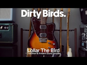 Lollar Pickups The Bird | Dirty & Ambient Sound Samples | Squier Paranormal Toronado