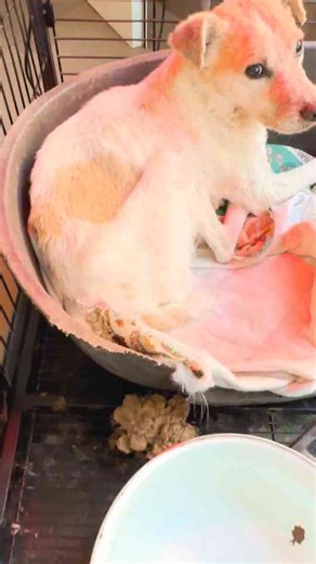 The unbelievable moment caught on camera last night