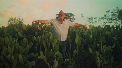 Agrônomo Paulo Suassuna aposta no cultivo de palma