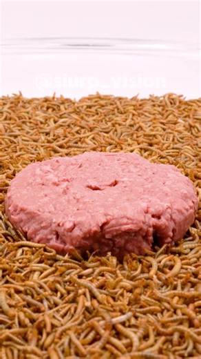 Beyond Meat disappears in timelapse 🐛⏳