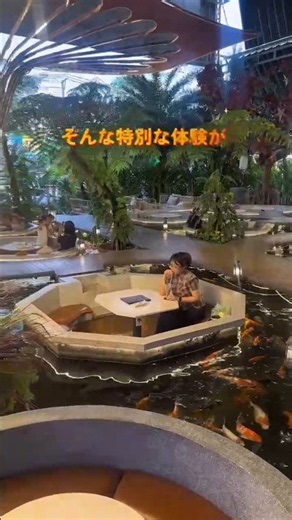 A relaxing spot in Ho Chi Minh City✨ Relax while watching koi fish in a space that feels like a J...