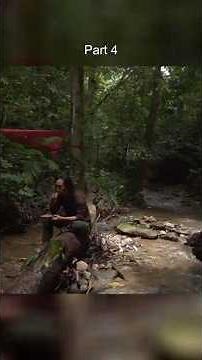 Bushcraft in the Jungle | Hammock Camp and Wild Mushroom Cooking