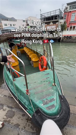 Winnie 🌸 on Instagram: "Freezing cold but worth it! For $50, the boat ride will bring you out into the ocean to view some pink dolphins that are known in the area 🐬 I thought they would be more grey, but they were surprisingly a bit pink when they came up to breathe. We were so excited when we saw the dolphins 💕😆 who knew this was something you could see in Hong Kong! The ride was 20 minutes long and you also get a view of the Tai O Heritage Hotel that used to be a police station! Save this 