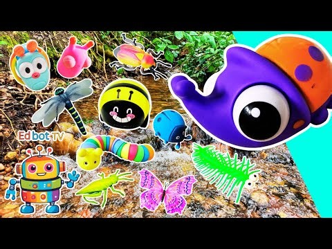 Learn Bug Insect Names for Kids at the Waterfall: Rhino Beetle Snail Centipede Bee Dragonfly