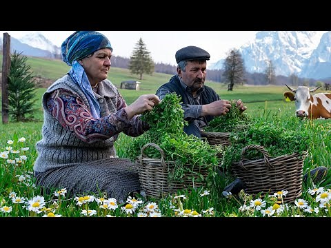 Wild Edible Herb Harvest & Cooking Flatbread: 🌿 Foraging & Cooking in Nature!