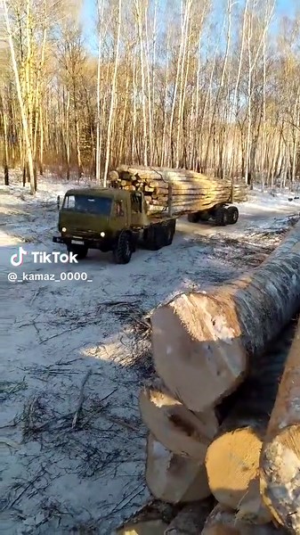 Military Truck Transporting Logs Through Snowy Forest