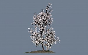 speed tree 软件使用分享第6集-photogrametry（下）