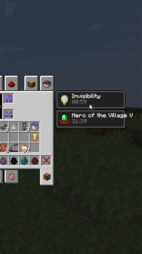 Secret Of Invisibility Portion Minecraft..Hack Day 44/100