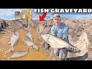 These Fish Were Left to DIE!