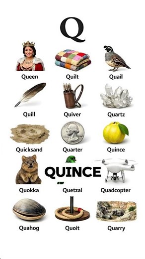 15 Common Words Starting with Q | Learn English Vocabulary | Letter Q