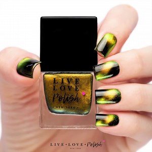 Helping at-risk cats. | mooncat