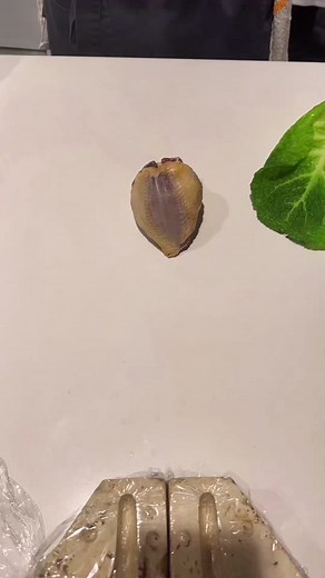 Squab baked in clay #finedining #michelinguide #tiktokfood #chefsoftiktok #michelin