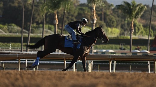 2.1K views · 32 reactions | Explora, a sharp debut winner and runner-up in her last Grade 1, aims to capture her first graded victory in the Oak Leaf Stakes.  | Santa Anita Park | Facebook