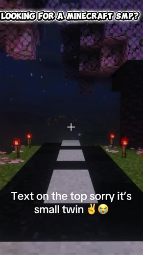 Minecraft Small SMP MacePVP MaceSMP Custom Plugin private small Minecraft smp #smp #minecraft #minecraftsmp #pvp #minecraftpvp