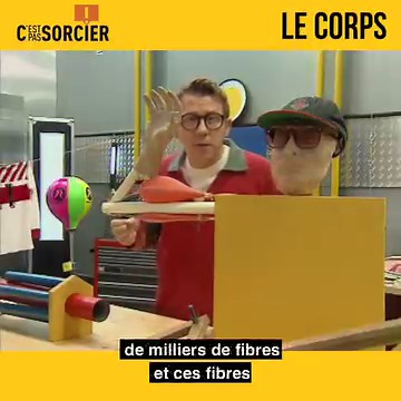 121K views · 3.4K reactions | Avec Jamy Gourmaud, on parle du corps humain tout en faisant grossir notre cerveau ! Jetez-vous à corps perdu dans cette vidéo ! | C'est pas sorcier | Facebook