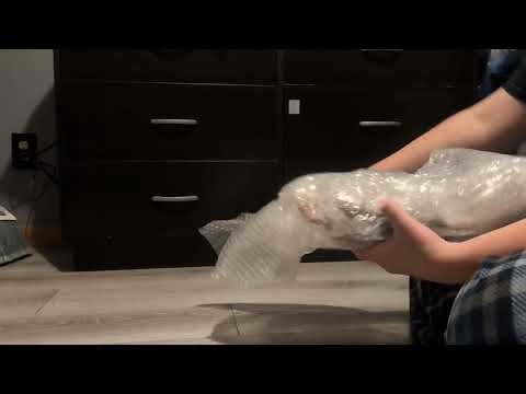 Unboxing breyer premier club 3rd release winnifred