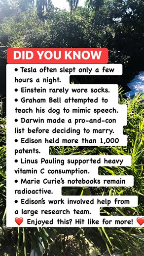 25K views · 177 reactions | 易 Strange Facts About Genius Minds #HistoryFacts #GeniusLife #FunKnowledge | Learners | Facebook