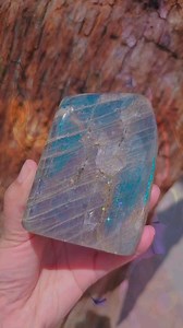 Labradorite holds deep meaning and symbolism, often associated with spiritual awakening, transformation, and protection. It is believed to be a magic and mystery stone connecting the wearer to the spiritual realm and enhancing intuition and psychic abilities. Labradorite is the stone of self-discovery, encouraging one to explore their inner strengths and uncover hidden talents. We are located at 268 N. Palm Canyon dr, palm Springs,ca Www.crystalfantasy.com 760-322-7799 #labradorite #stones #crys