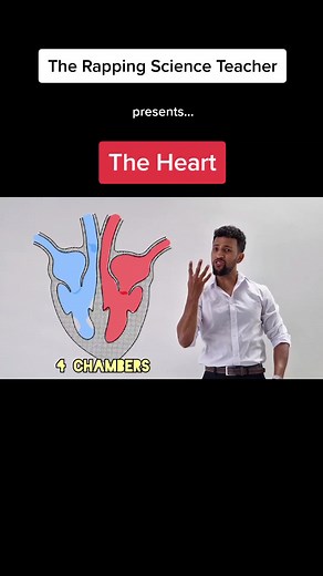 The Heart: Explaining the Human Heart with Raps