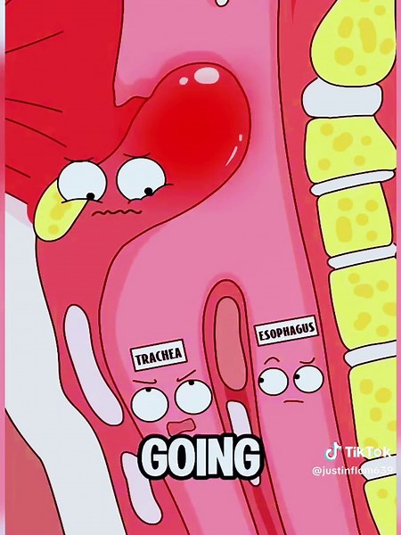 Explaining Complex Stuff with Simple Fun#animatin #funny #video | animatic clips