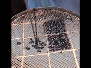 Manual cleaning of a particulate filter