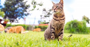 Give the gift of a life-long home